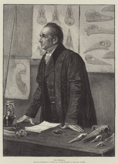 Le professeur - Henry Stacey Marks